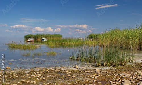 reed islands and boats on Peipsi lake, Estonia photo