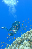 girl diver and coral reef in tropical sea, uinderwater