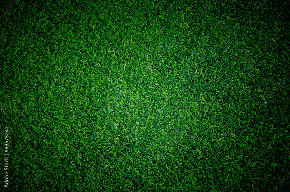 Obraz premium Soccer football grass field
