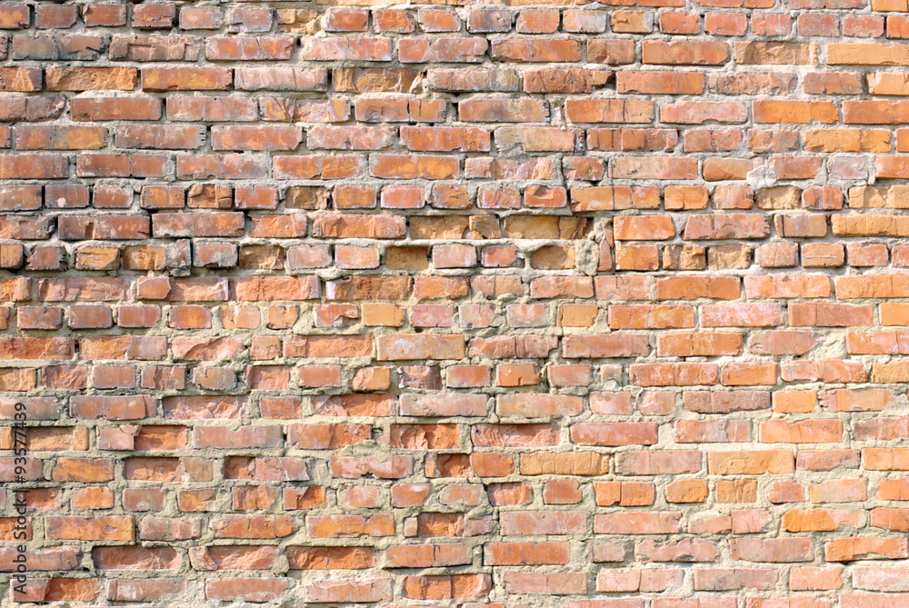Obraz premium brick wall