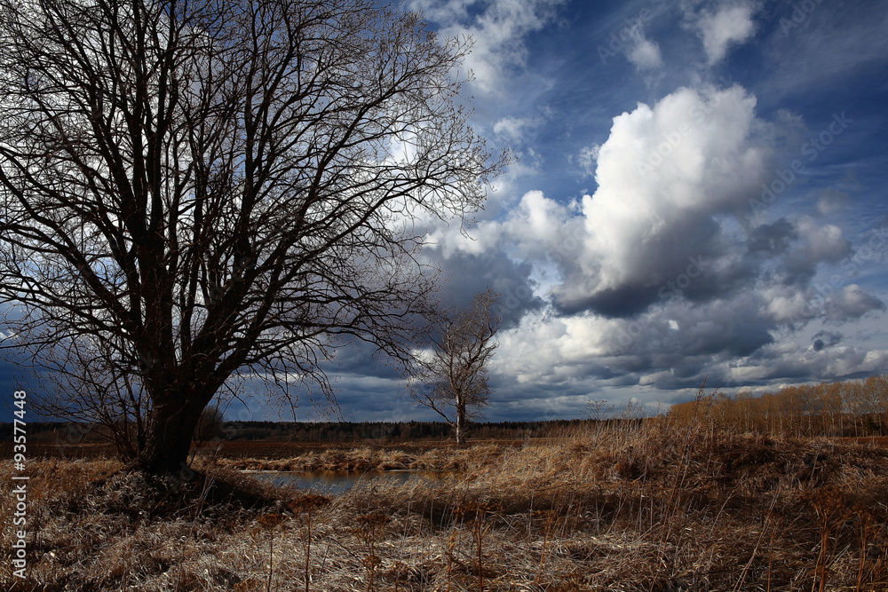 autumn landscape in nature