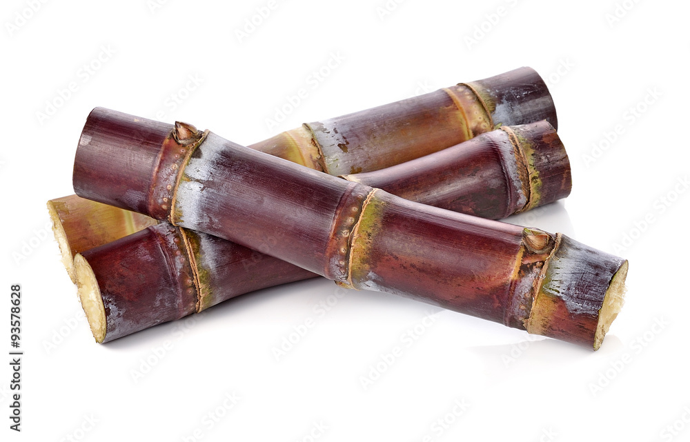 sugarcane isolated on white backgroun sugarcane isolated on white backgroun