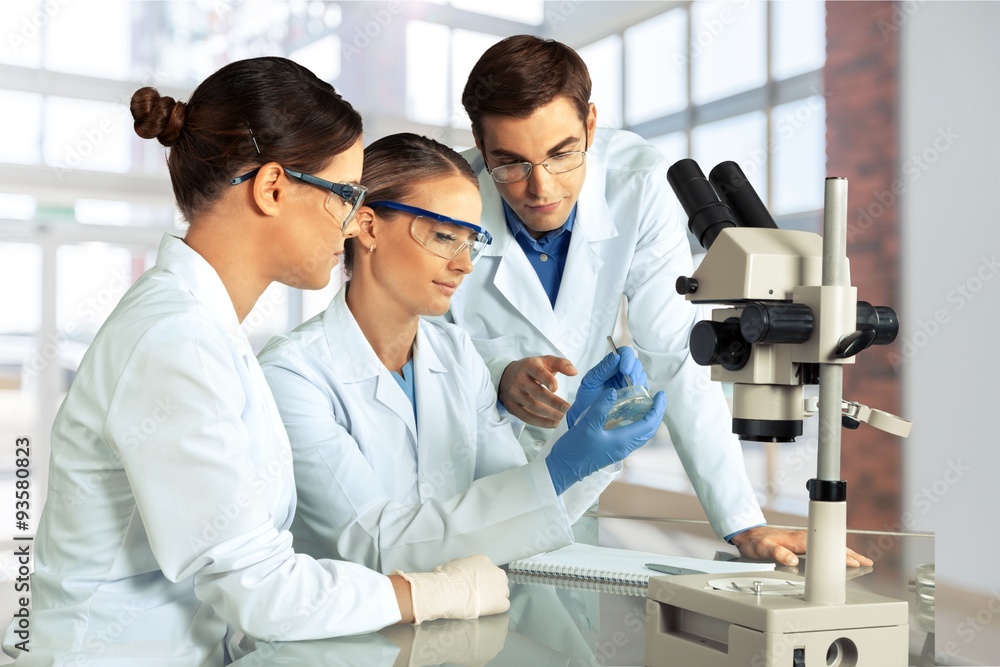 Laboratory. Laboratory.