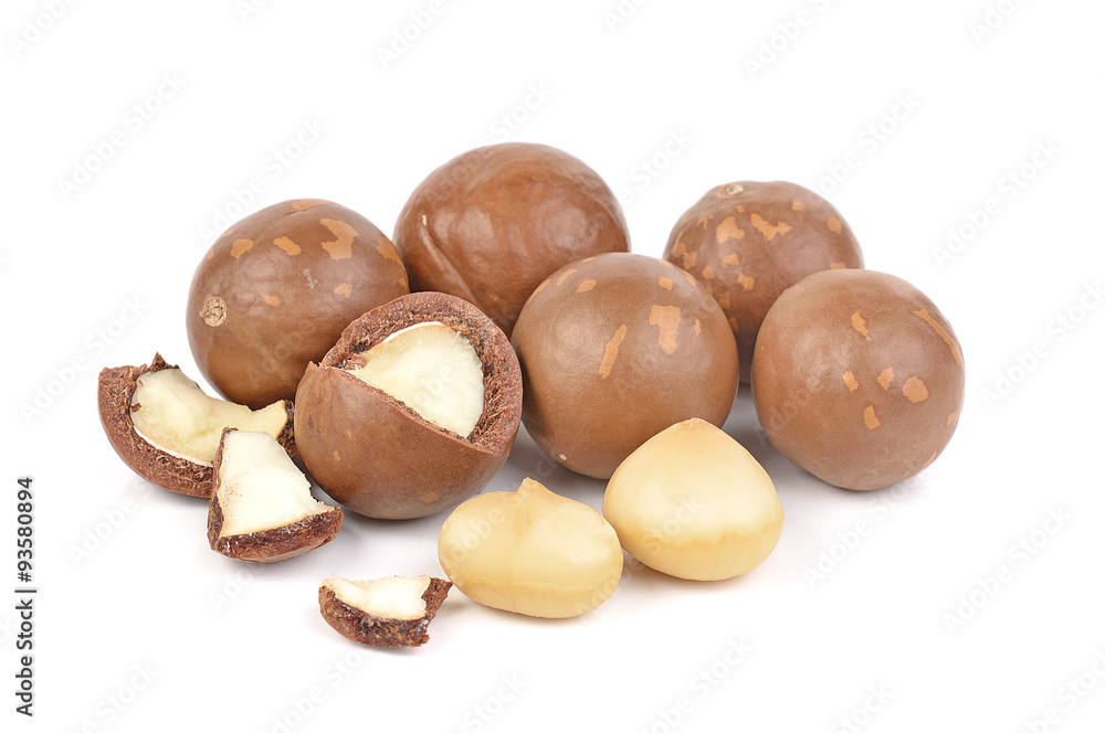 macadamia nuts isolated on white background macadamia nuts isolated on white background