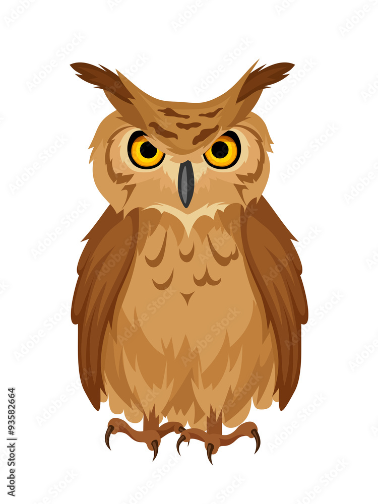 Fototapeta premium Vector brown owl isolated on a white background.