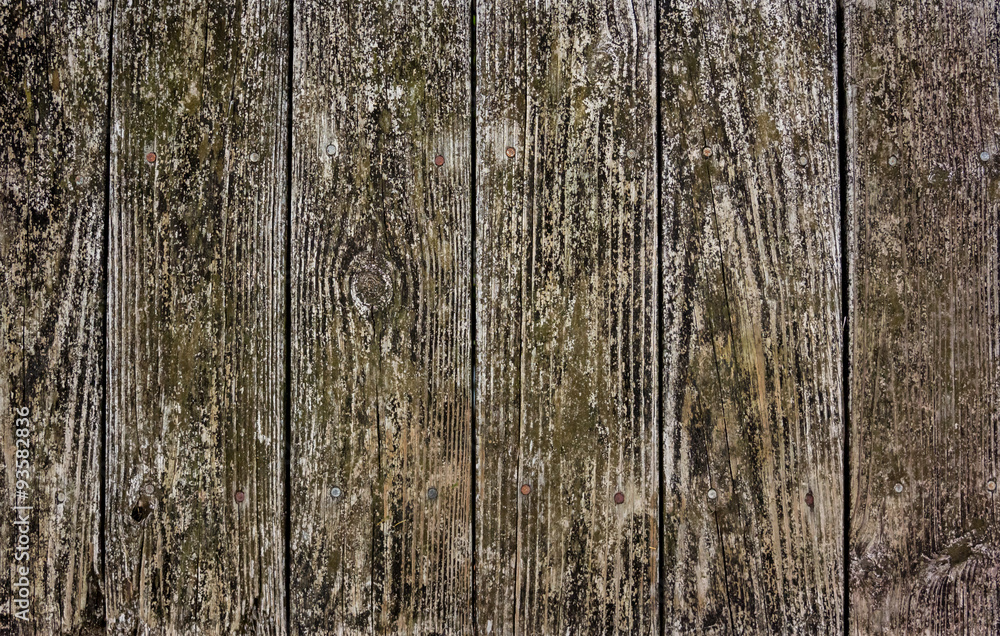 Obraz premium Boardwalk Slats