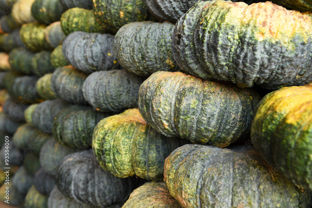 pile of pumpkin in market, Thailand
pile of pumpkin in market, Thailand