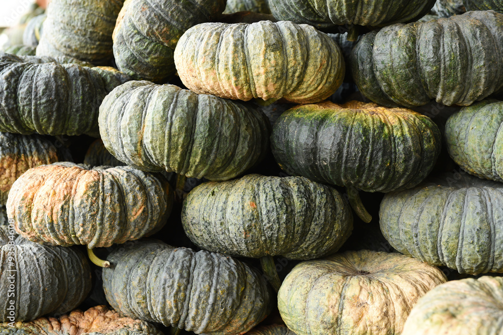 pile of pumpkin in market, Thailand
pile of pumpkin in market, Thailand