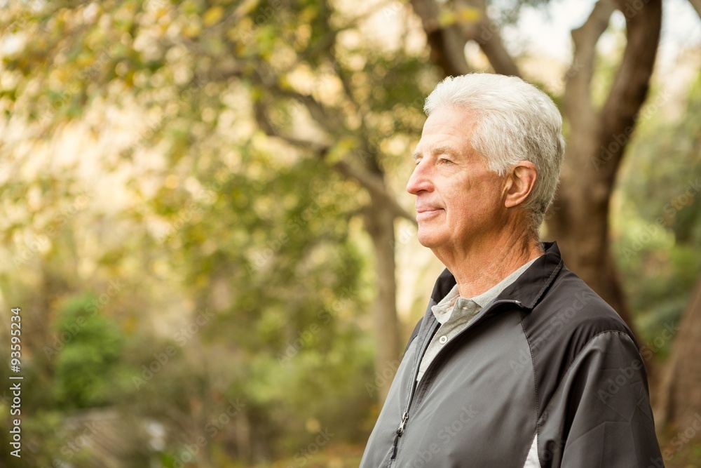 Senior man in the park Senior man in the park