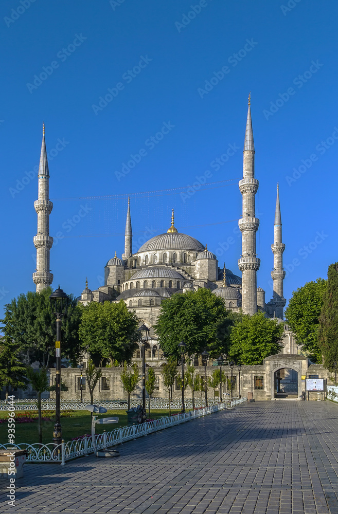 Naklejka premium view of Sultan Ahmed Mosque, Istanbul