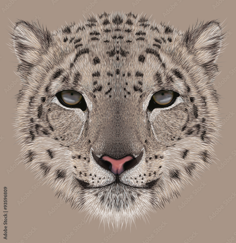 Fototapeta premium Snow leopard animal cute face. Illustrated Asian Irbis head portrait. Realistic fur portrait of snow wild spotted panther isolated on beige background.