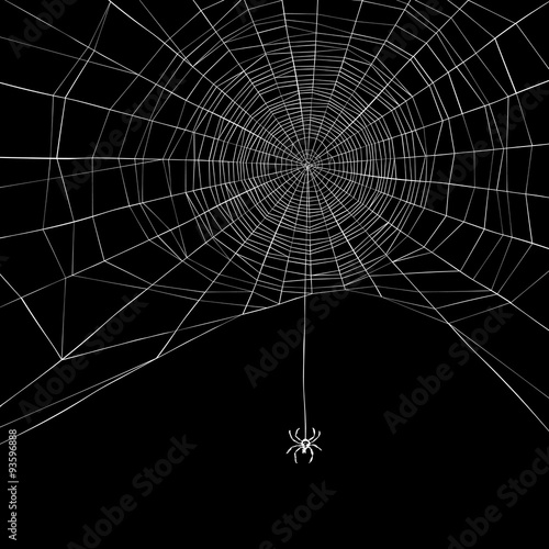 Halloween background. Spider web. Vector illustration