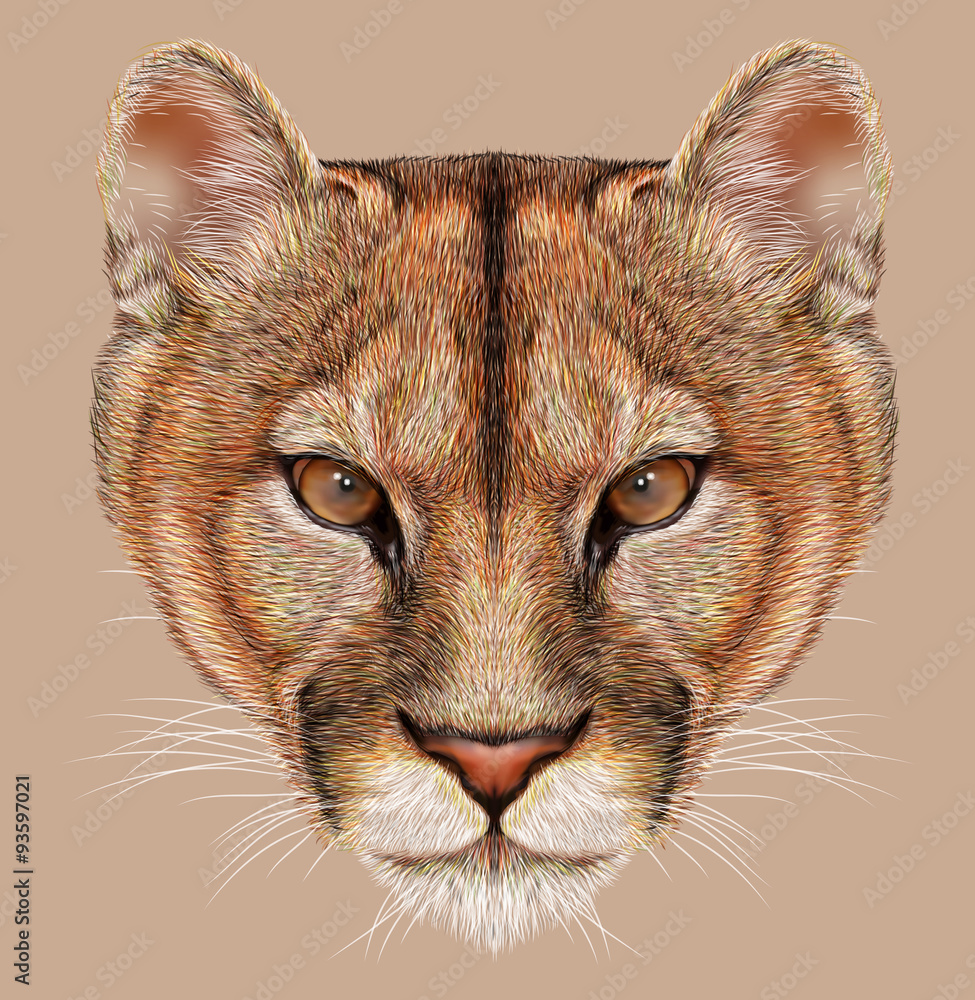 Naklejka premium Mountain lion animal cute face. Illustrated American cougar head portrait. Realistic fur portrait of puma wildcat panther isolated on beige background.