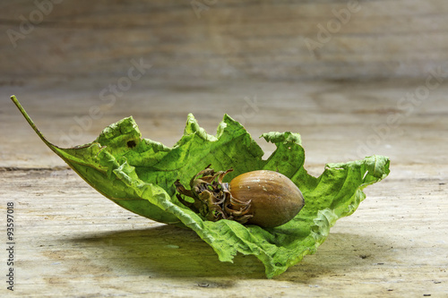 hazelnut on a dry leaf on rustic wood