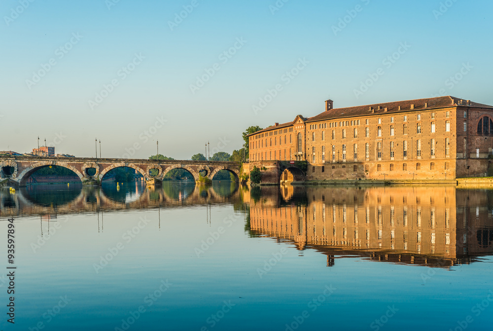 Fototapeta premium Pont Neuf in Toulouse, France.