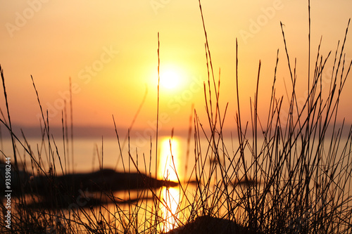Sunset on the sea through the grass