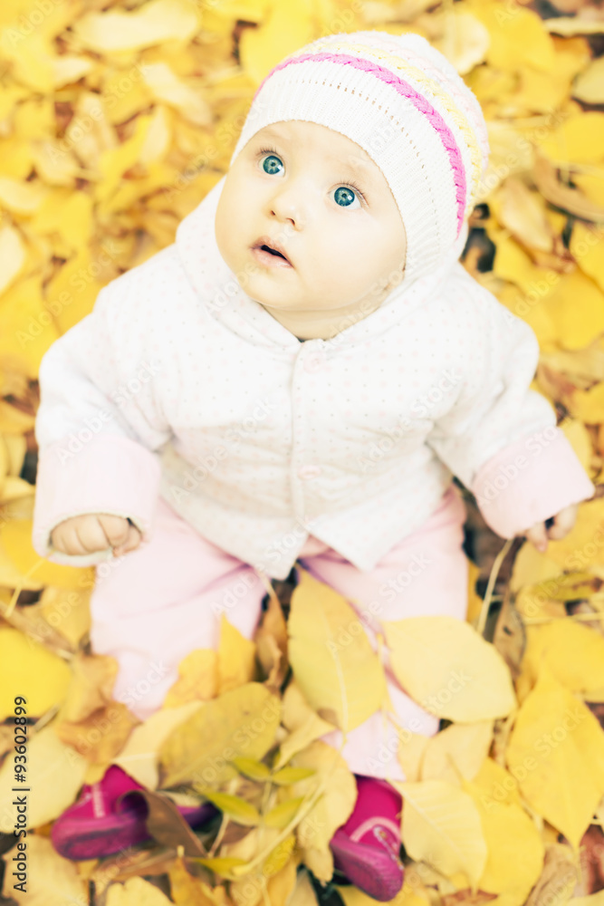 portrait of baby at autumn park with yellow leaves background portrait of baby at autumn park with yellow leaves background