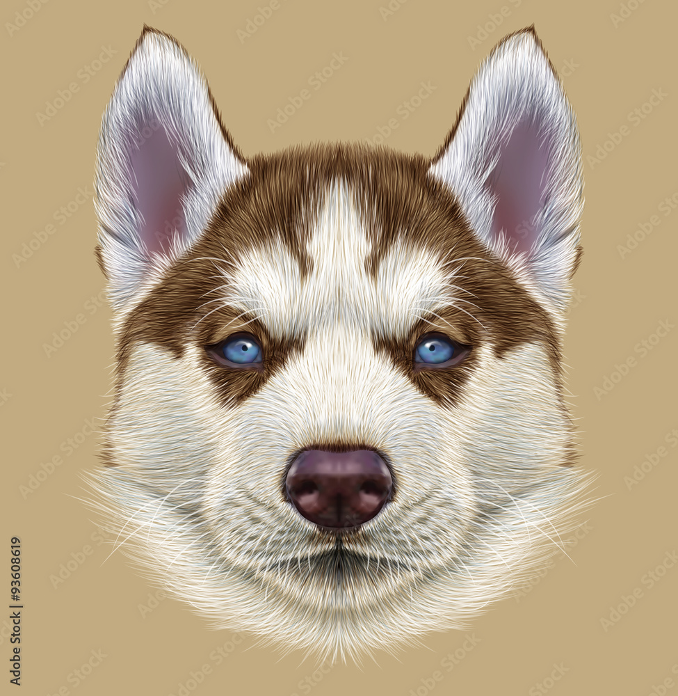 Illustrative Portrait Of Husky Puppy Cute Portrait Of Young Copper Red Bi Colour Dog With Pale Blue Eyes Stock Illustration Adobe Stock