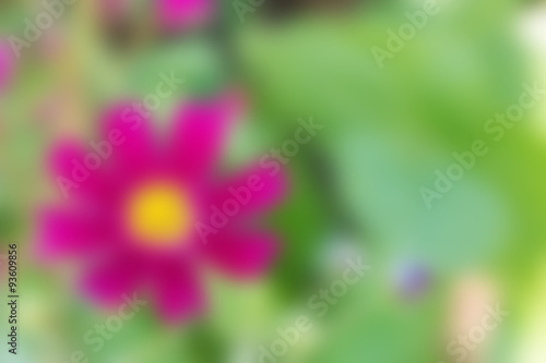 Blurred of flowers for make background.