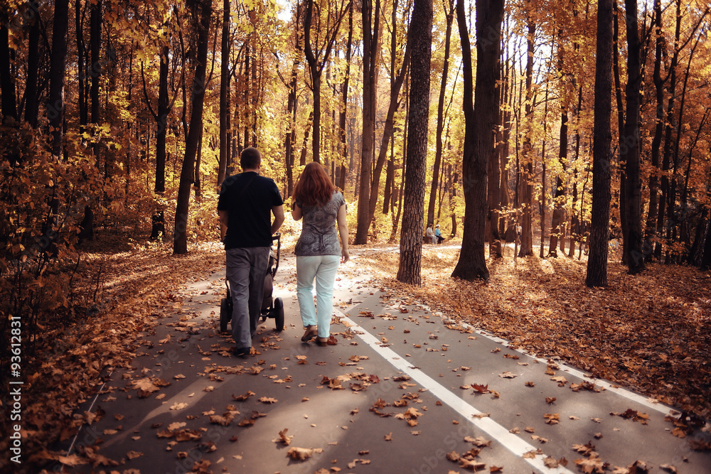 Fototapeta premium landscape autumn path in the park