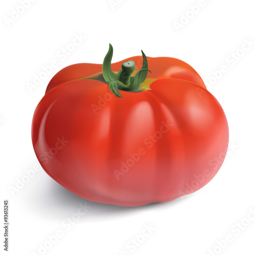 Heirloom Garden Tomato.
Hand drawn vector illustration of a garden tomato, on white background.