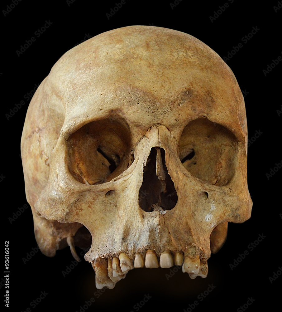 Obraz premium Human skull isolated on black background