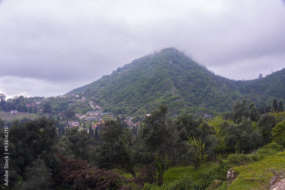 Naklejka premium Mountain behind Forest