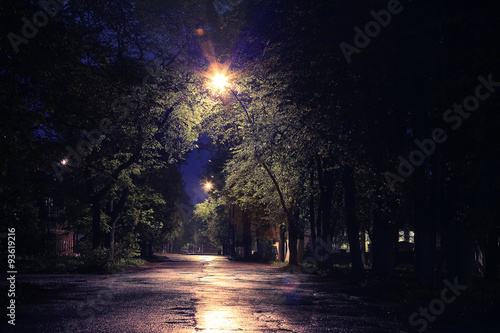 Night southern summer landscape