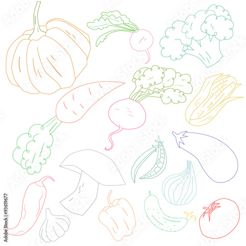 Vegetables color outline vector illustration