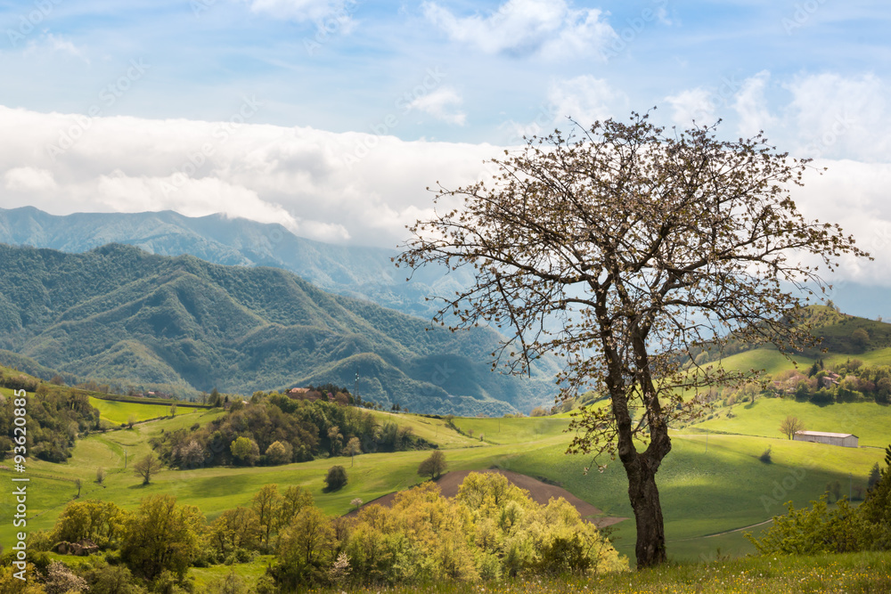 Beautiful Italian Countryside Landscape over Rolling Hills and B Beautiful Italian Countryside Landscape over Rolling Hills and B