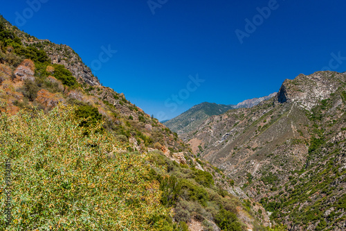 View at Highway 180, Kings Canyon National Park, California, USA