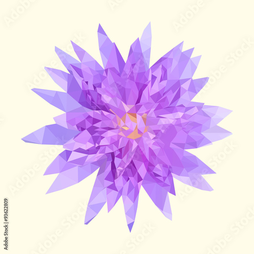 polygonal purple lotus, polygon geometric flower, vector illustr
