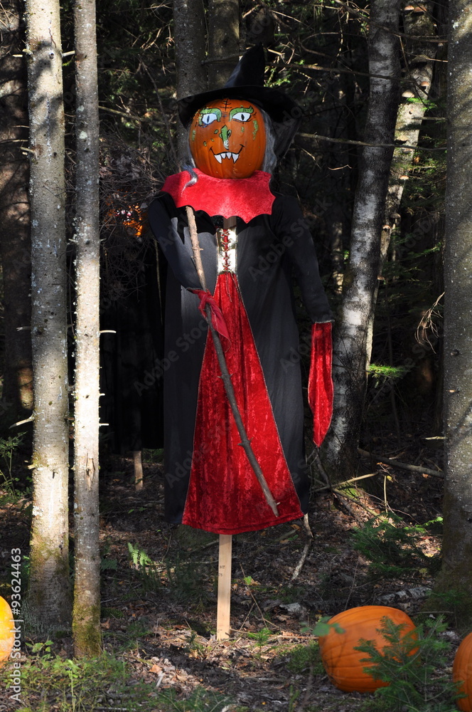 Citrouille déguisée pour Halloween Citrouille déguisée pour Halloween