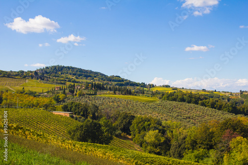 Paesaggio rurale in Val d Elsa  Toscana.
