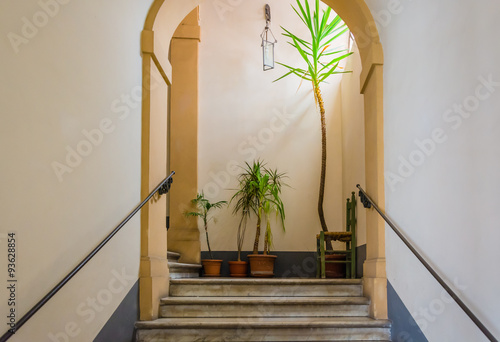 Stairs, plants and a chair