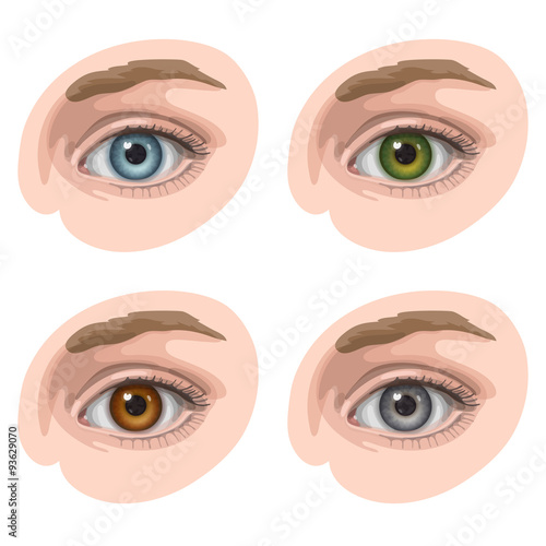 Eyes with different colors