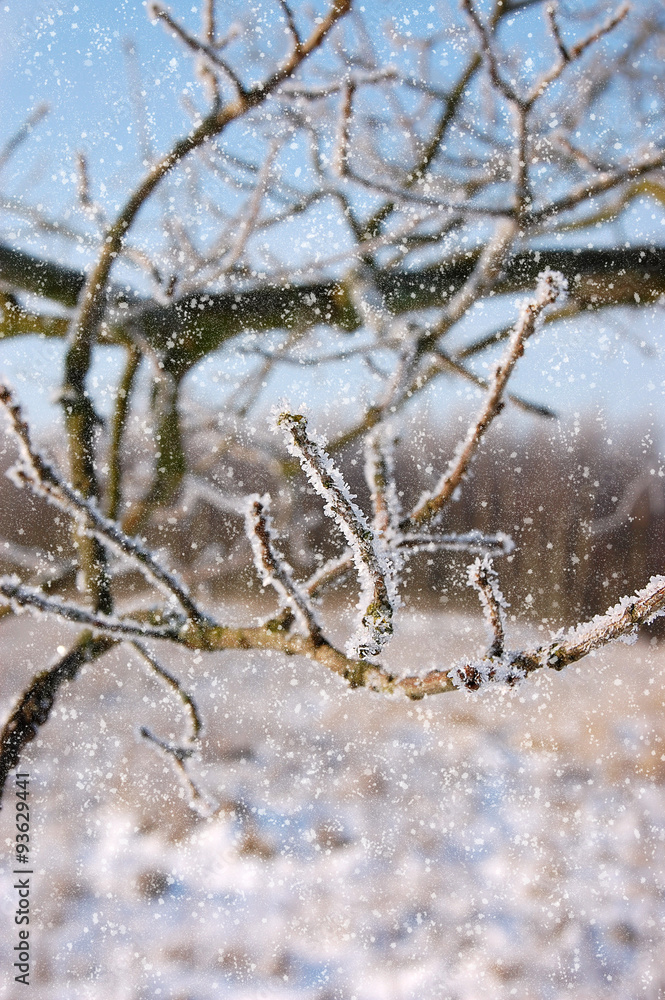Winterlandschaften Winterlandschaften