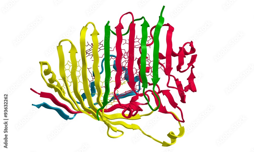 Obraz premium Molecular structure of Bacetriochlorophyll