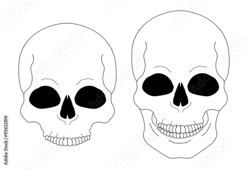 Contour lines skull 
