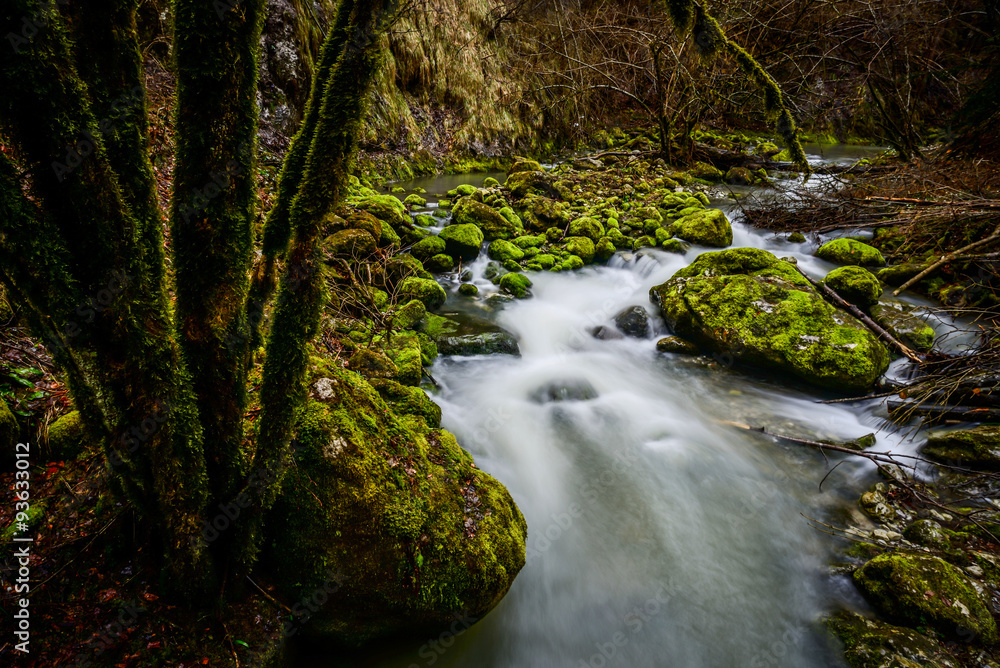 flowing water in a little creek flowing water in a little creek