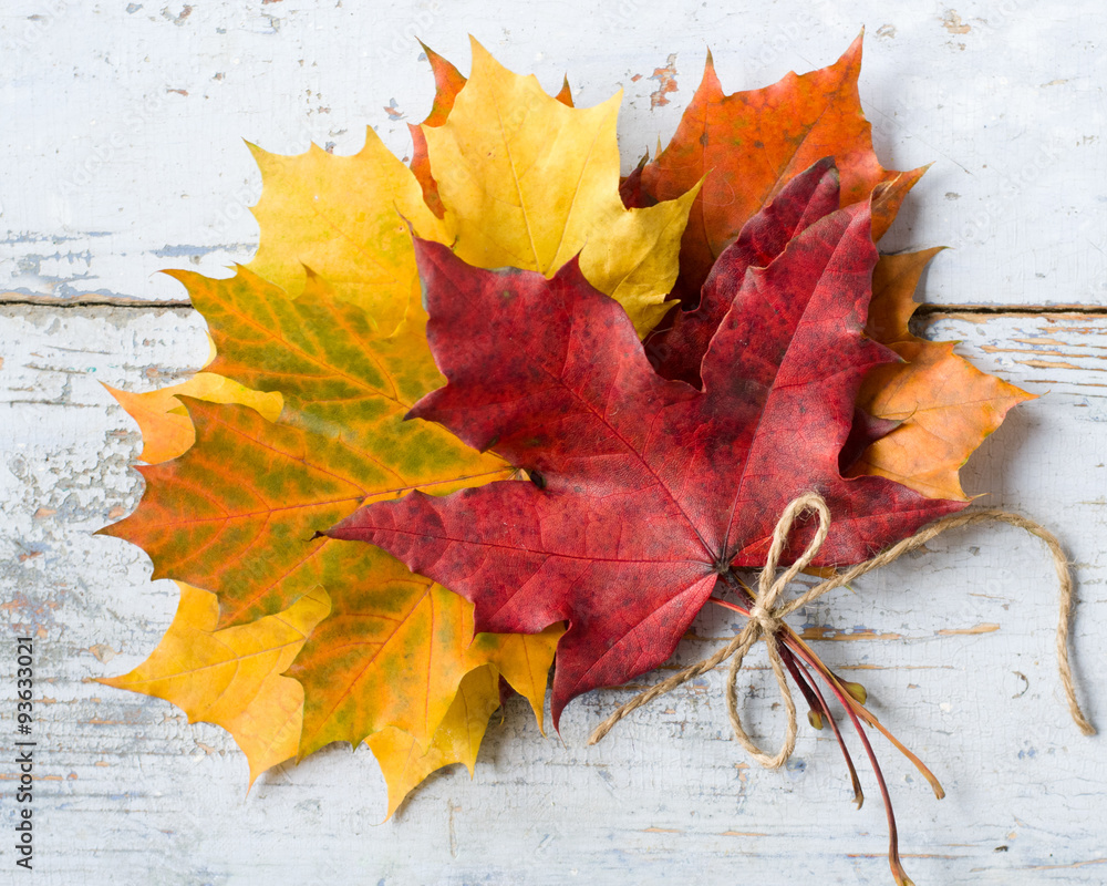 autumn leaves autumn leaves
