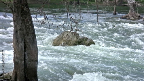 River rapids through cypress trees zoom out HD photo