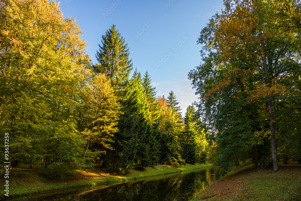 channel in the autumn colorful park channel in the autumn colorful park