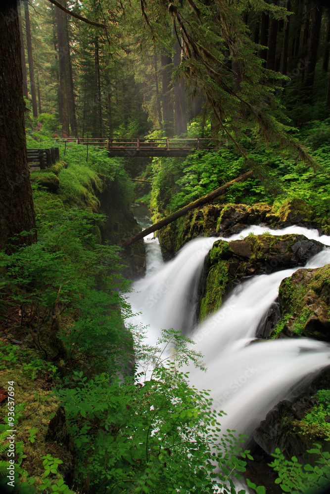 Sol Duc Falls and Bridge, Olympic National Park Sol Duc Falls and Bridge, Olympic National Park