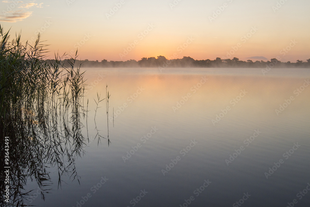 Fototapeta premium sunrise with grasses on lake