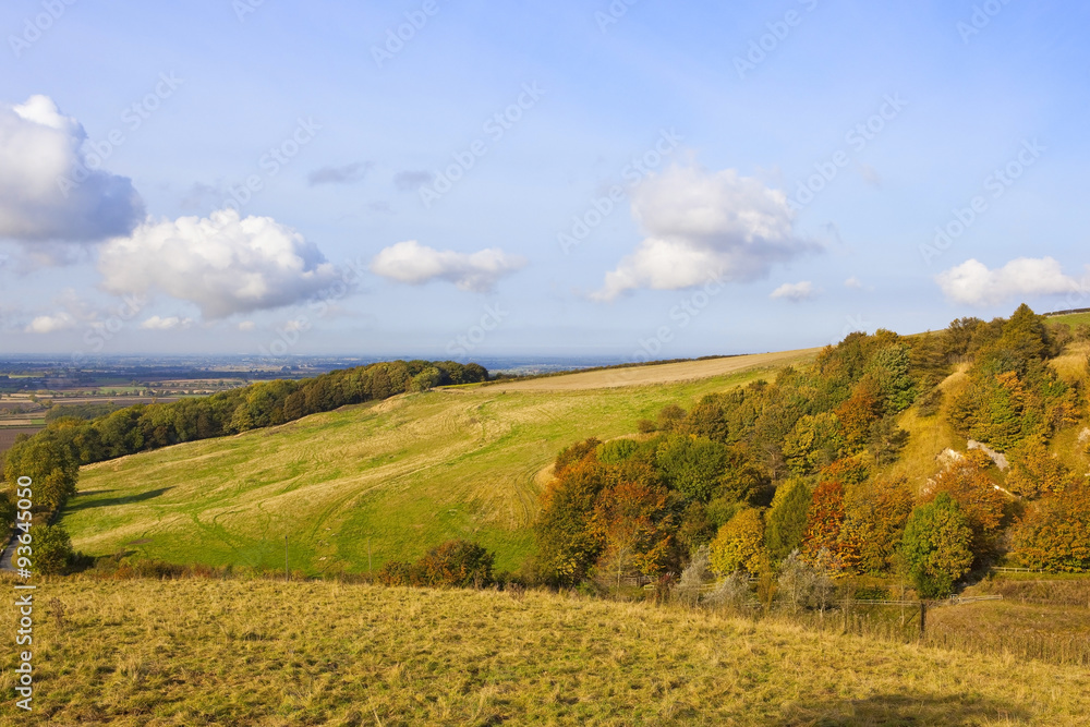 meadow lands in autumn