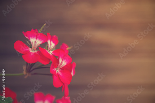 Fototapeta Naklejka Na Ścianę i Meble -  Vintage flowers