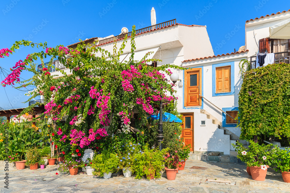 Traditional Greek house with bougainvillea flowers in Kokkari town, Samos island, Greece