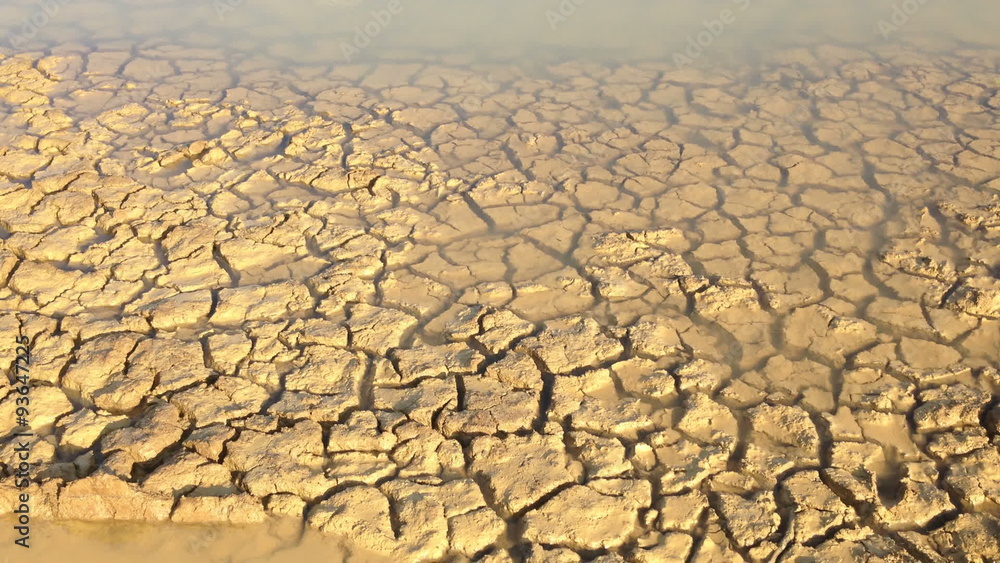 Mudcracks or desiccation cracks or mud cracks) are sedimentary structures formed as muddy sediment dries and contracts. Often caused by droubt Mudcracks or desiccation cracks or mud cracks) are sedimentary structures formed as muddy sediment dries and contracts. Often caused by droubt