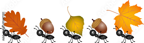 Ants carrying autumn leaves and acorns
